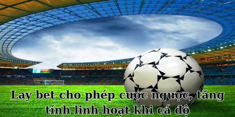 Lay bet cho phép cược ngược, tăng tính linh hoạt khi cá độ